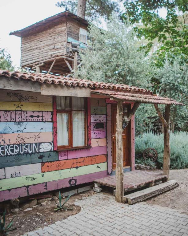 Kadir's Tree Houses — 5