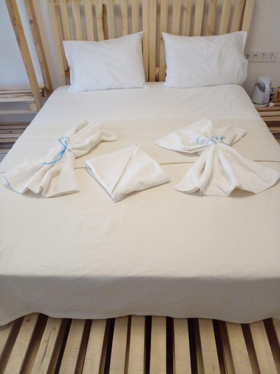 Black Tree Hotel — 3