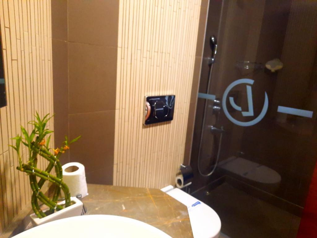 Dedepark Hotel — 5