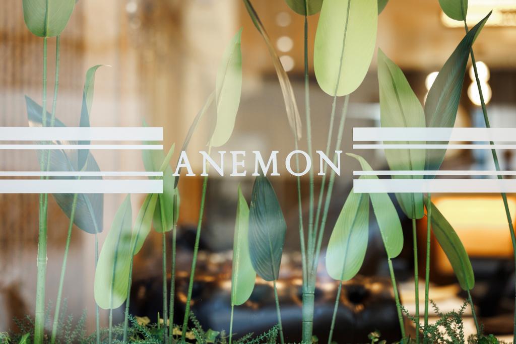 Anemon Uşak Otel — 3