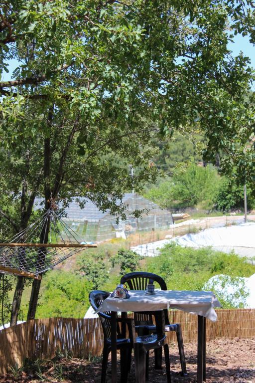 Evergreen Glamping — 10