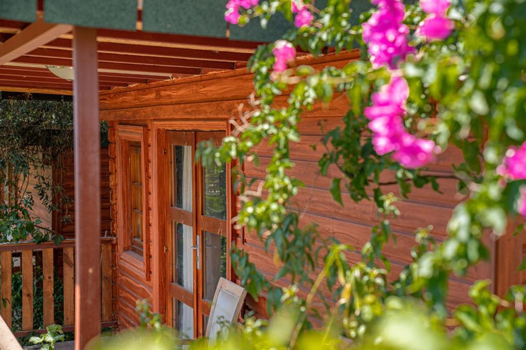 Felicity Hotel & Bungalows — 2
