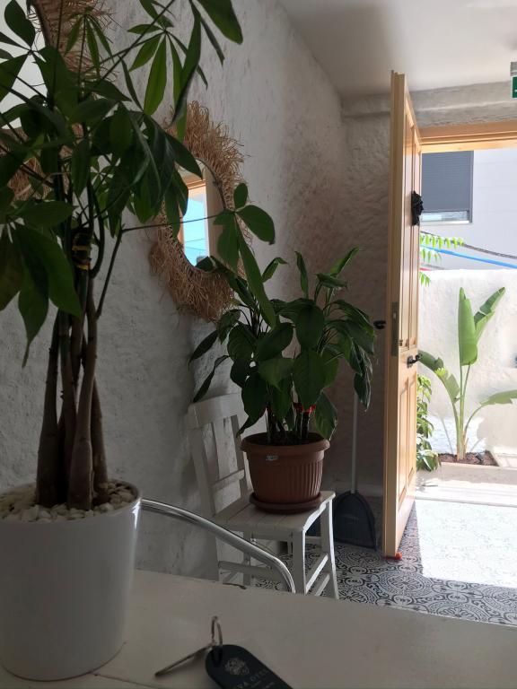 Eva Otel Çeşme — 7