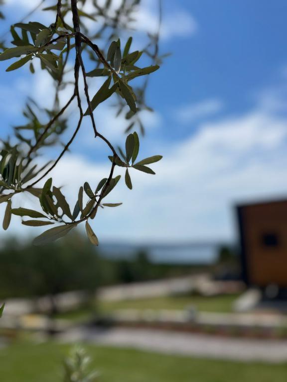 Zu Tiny House Hotel & Restaurant — 3