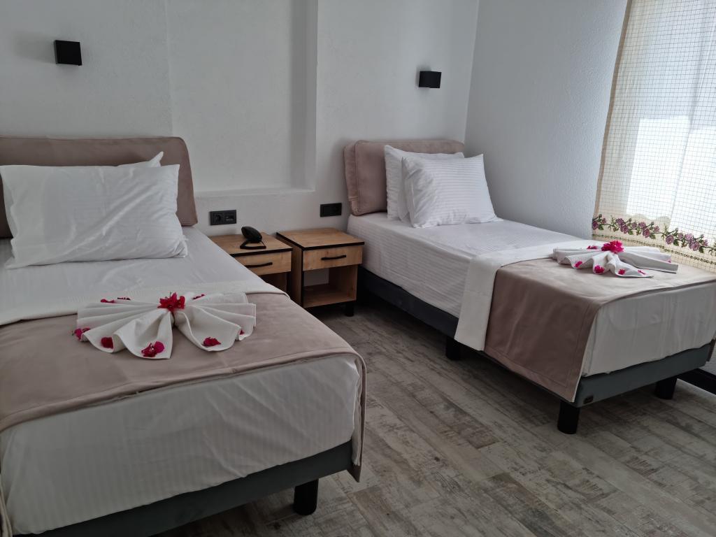 The Professors Hotel — 4