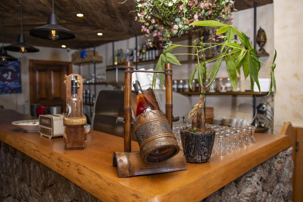 Assos Casa Galini Hotel & Restaurant (+3 Yaş Üzeri) — 6