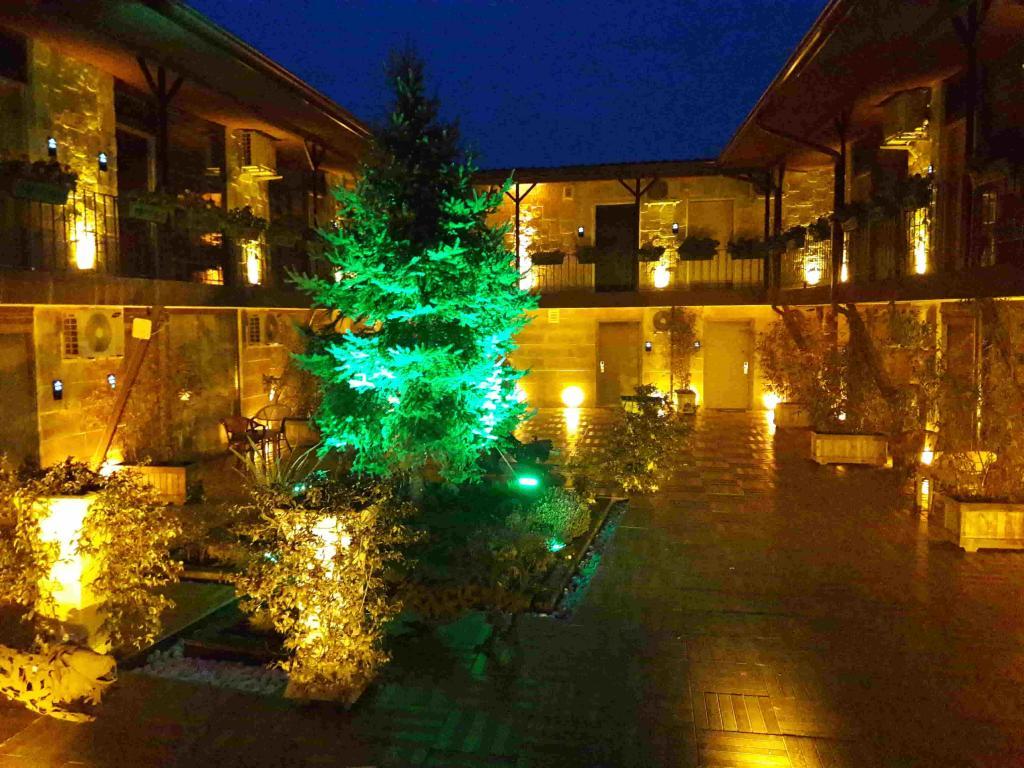 Green House Garden Park Hotel — 8