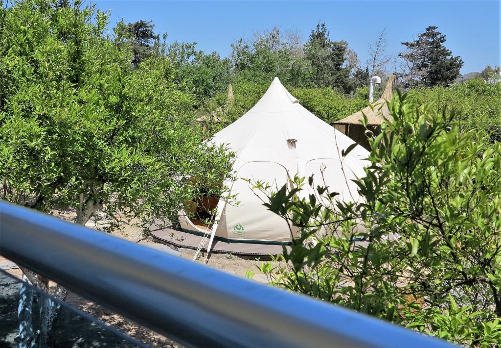 Azure Wellness Retreat — 8