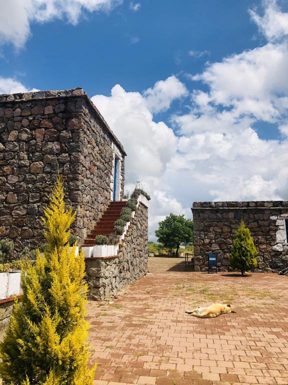 Obasya Kırsal Konaklama Tesisi — 8