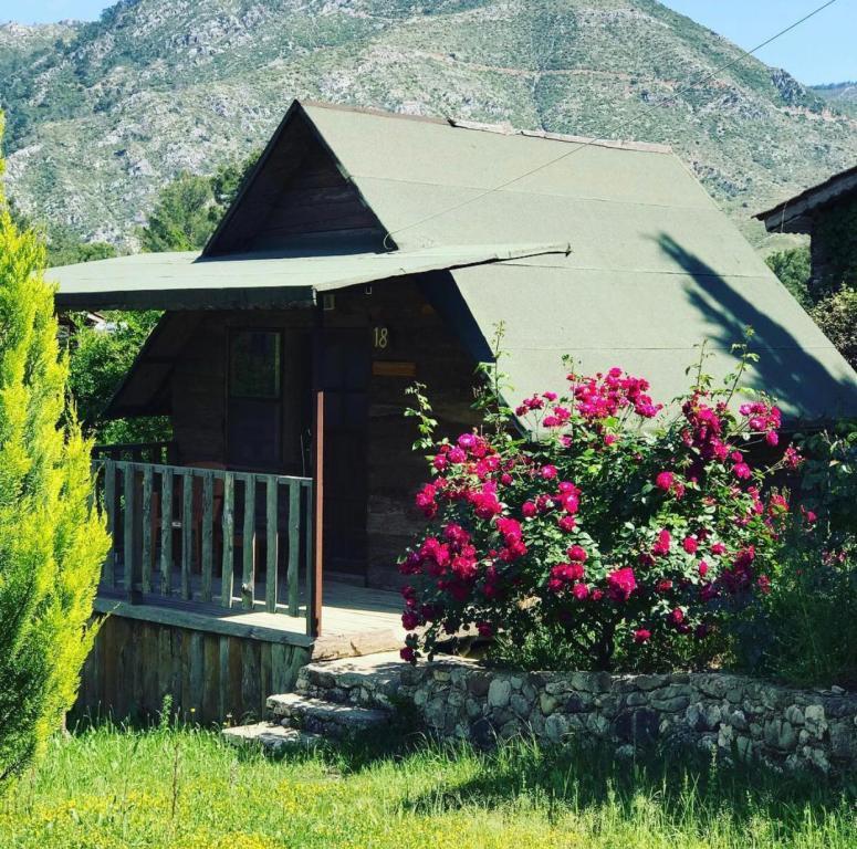 Olympos Otantik Pansiyon — 3