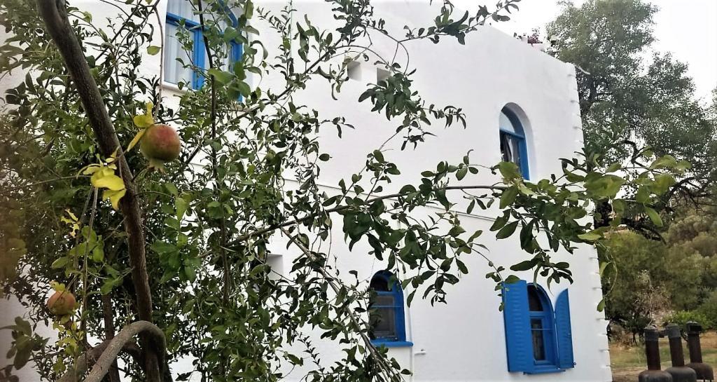 Teosfer Sığacık — 7