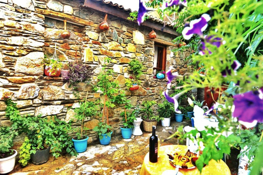 Şirincem Pansiyon — 6