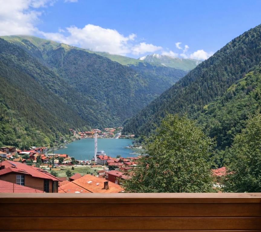 İmera Suite — 8