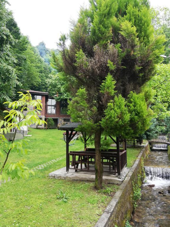 Boğaziçi Butik Otel Maşukiye — 6