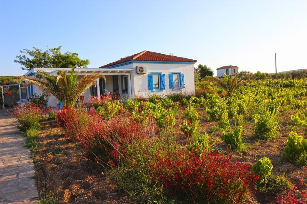 Ilgın Bağ Evi