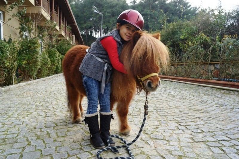 Padok Premium Hotel & Stables — 4