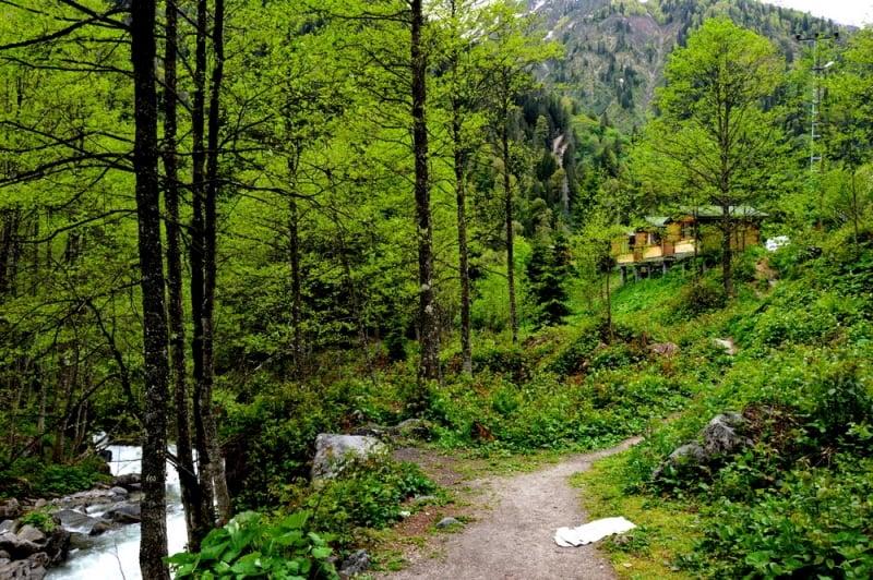 Kardelen Pansiyon — 4