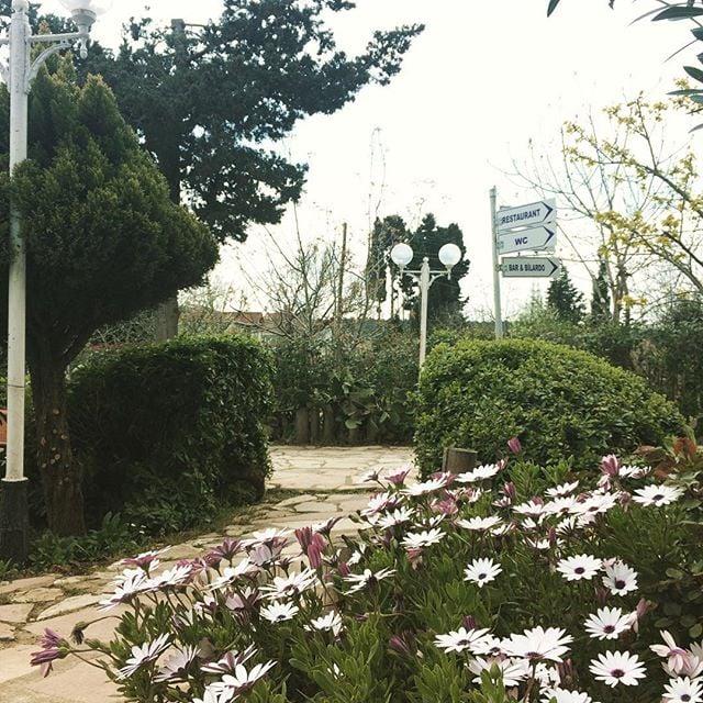 Hamsilos Tatil Köyü & Apart Hotel — 7