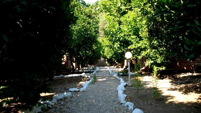 Alaturka Pansiyon — 2