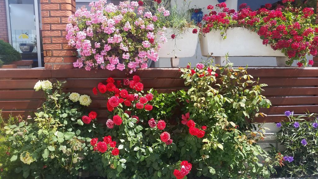 Urla Yelken Hotel- Adult +15 — 9