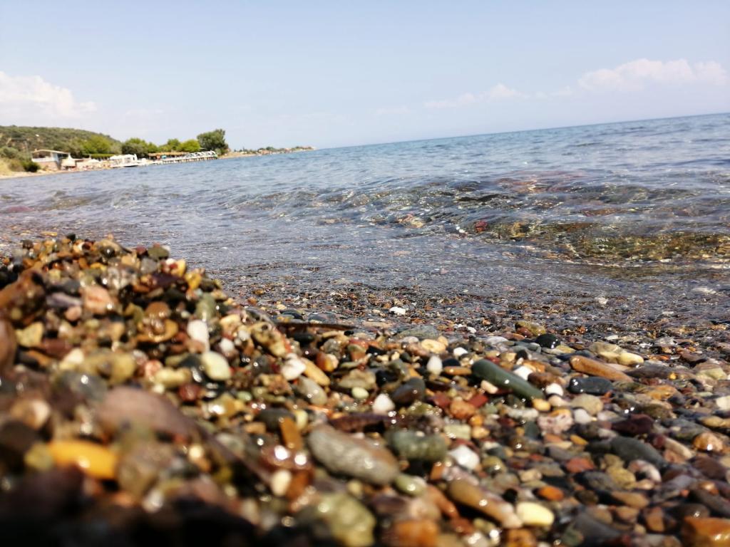Assos Yalı Butik Otel Beach — 7