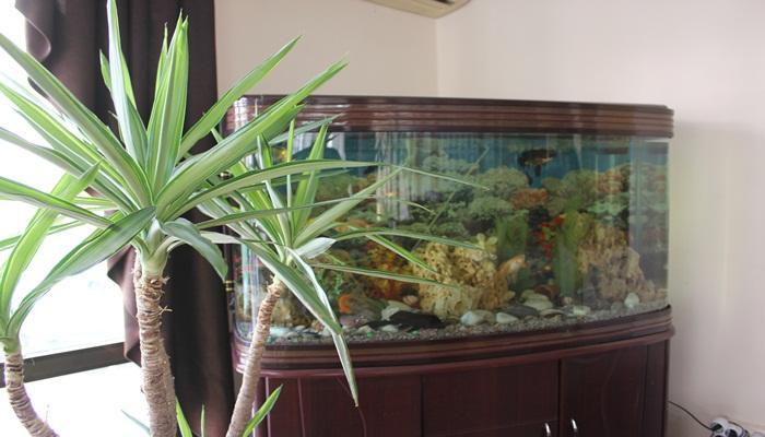 Kartel Hotel Didim — 8