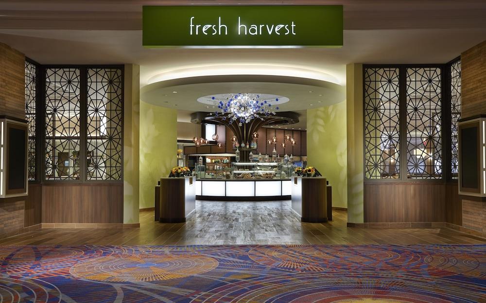 Hard Rock Hotel & Casino Atlantic City — 8