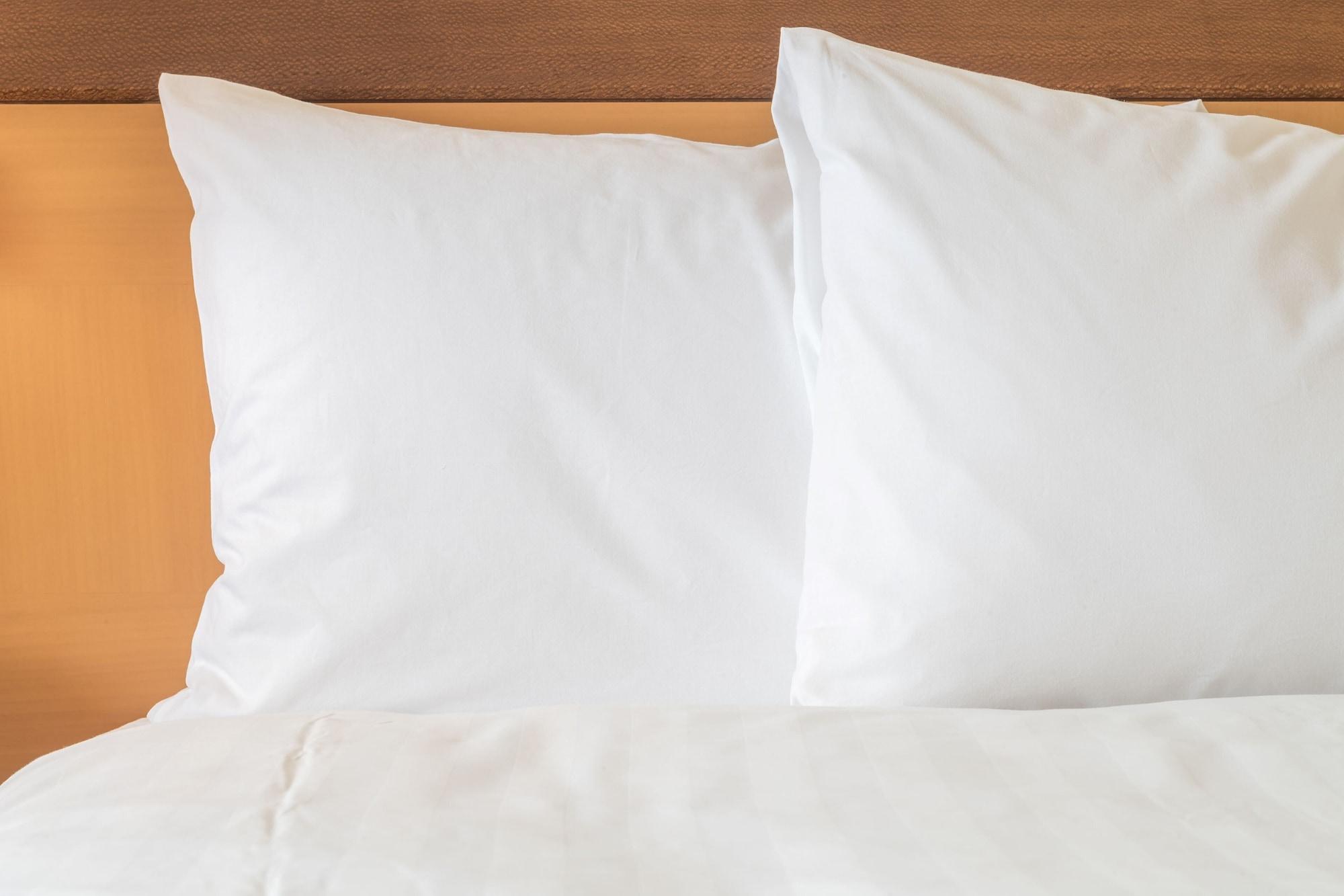 Holiday Inn Tbilisi 814815 — 10