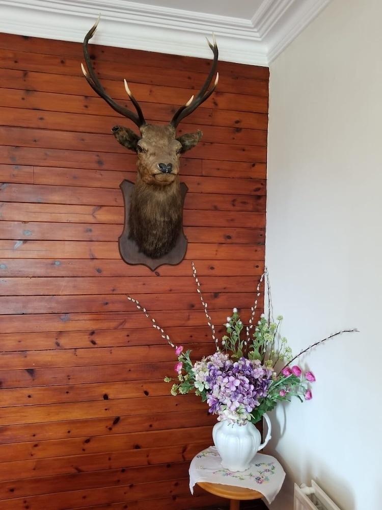 Glenan Lodge — 5