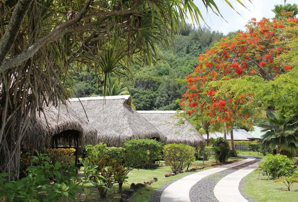Hotel Hibiscus — 8