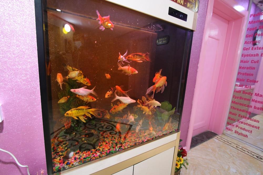 Knight Armour Hotel, Dubai — 10