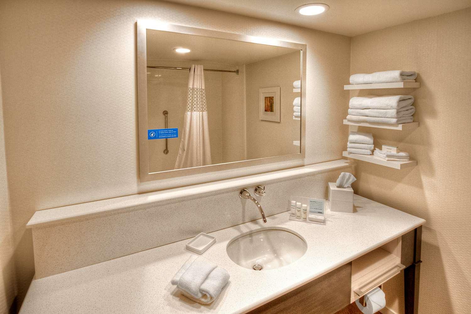 Hampton Inn & Suites Asheville - I-26 — 4