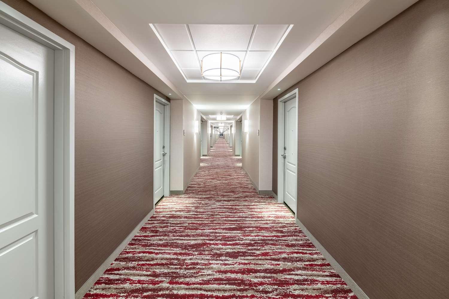 Hilton Garden Inn Omaha East/Council Bluffs, IA — 7
