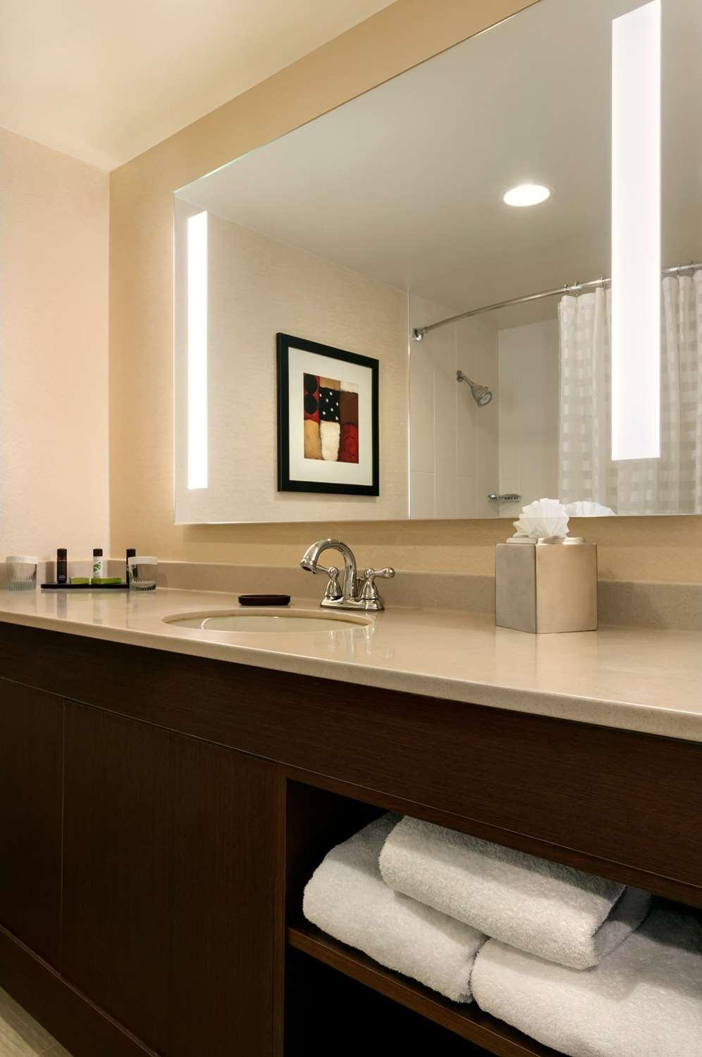 Embassy Suites by Hilton Chicago North Shore Deerfield — 4