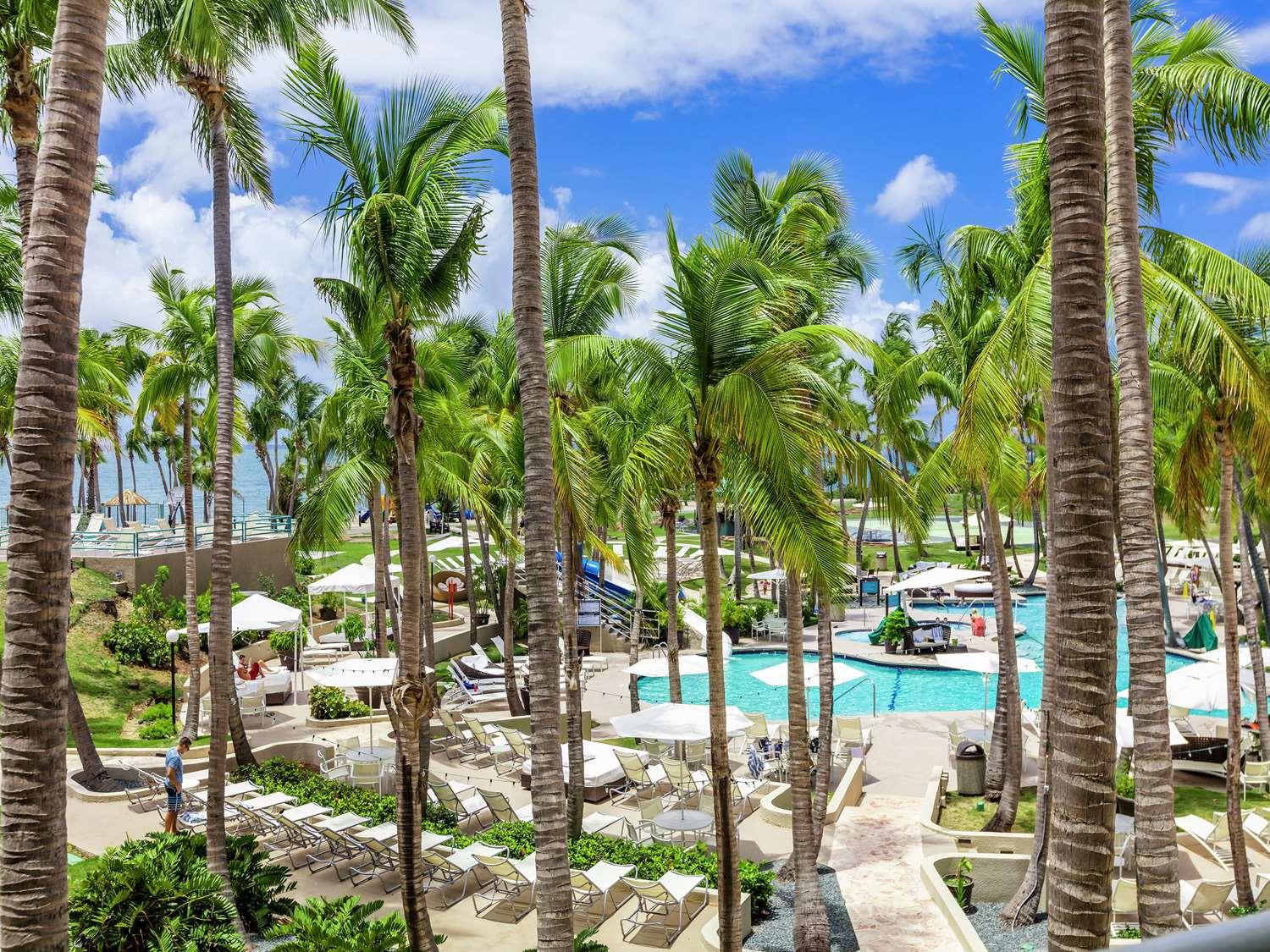 Hilton Ponce Golf & Casino Resort — 7