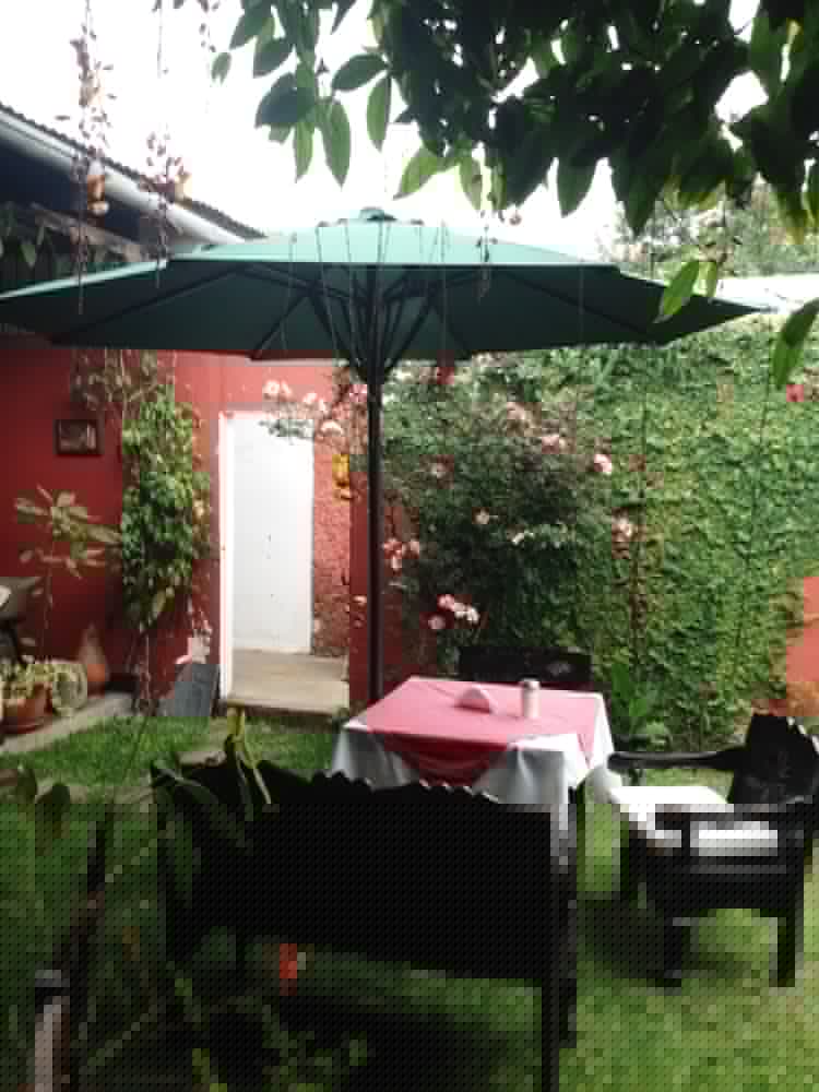 Posada Don Diego 1238178