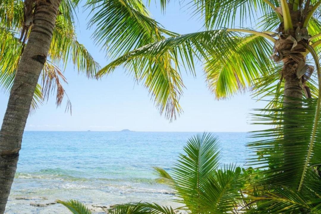 Beachcomber Island Resort 1035548 — 2